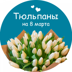 Купить тюльпаны в Кызыле